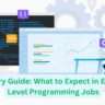 Salary Guide: What to Expect in Entry-Level Programming Jobs