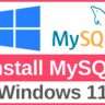 MySQL