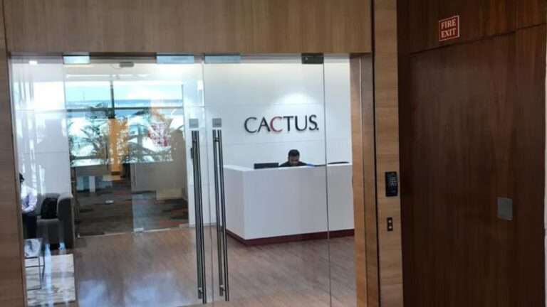 Cactus