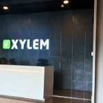Xylem