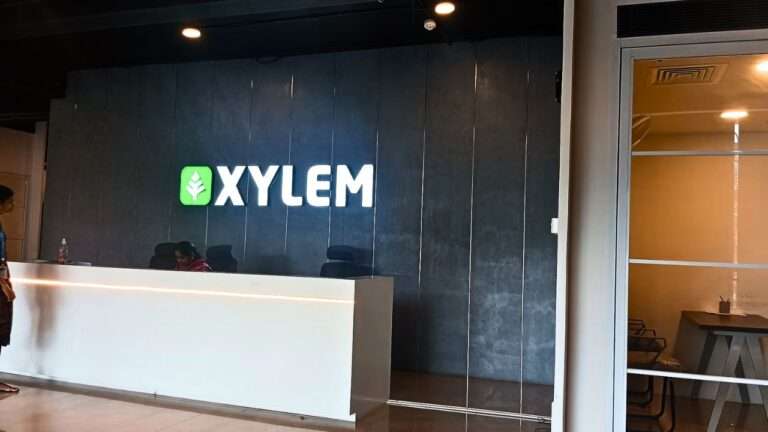 Xylem