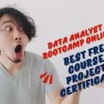 Data Analyst