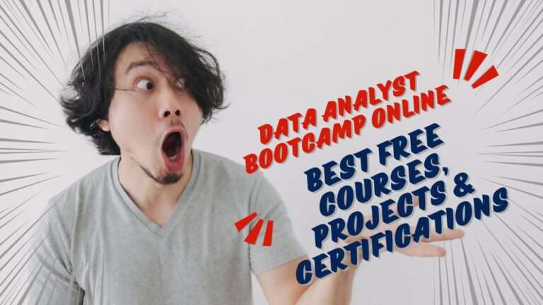 Data Analyst