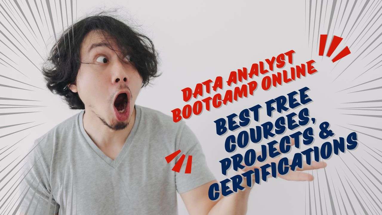 Data Analyst