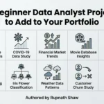 10 Beginner Data Analyst Projects to Add to Your Portfolio